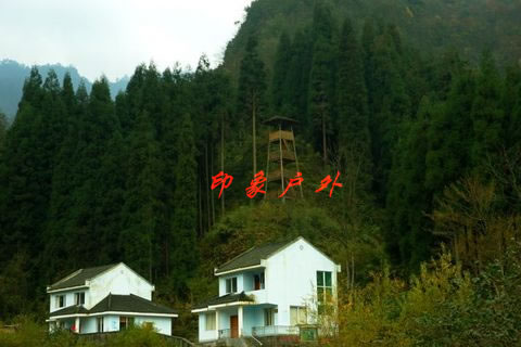 ɶչӖ