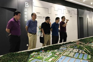 開(kāi)平市科工商務(wù)局 資本投資咨詢服務(wù)的專業(yè)引領(lǐng)者